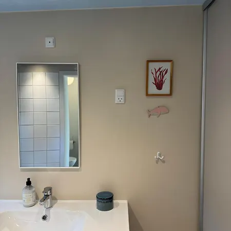 Smukt Naer C Inkl Rengoring 里伯