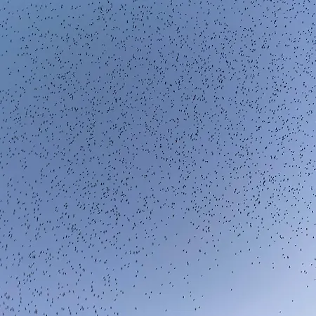 Smukt Naer C Inkl Rengoring 度假居 里伯