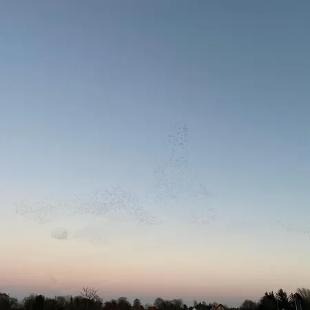 Smukt Naer C Inkl Rengoring 度假居 里伯