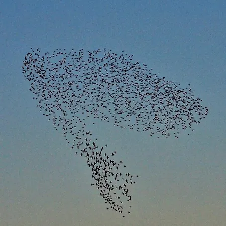 度假居 Smukt Naer C Inkl Rengoring 里伯